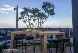 Wilshire Residences (D10), Apartment #522708071